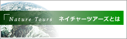 �l�C�`���[�c�A�[�Y�Ƃ�