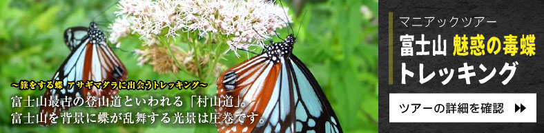 マニアックツアー『富士山 魅惑の毒蝶トレッキング』